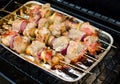 Meat on the spit Royalty Free Stock Photo