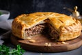 meat pie with flaky crust and golden brown fillings