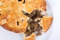Meat pie tourtiere Royalty Free Stock Photo