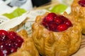 Meat pies with cranberry Royalty Free Stock Photo