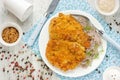 Meat pork chop in bread crumbs garnished with green buckwheat, h Royalty Free Stock Photo