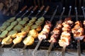 Meat and potatoes fried on skewers in summer Royalty Free Stock Photo