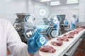 Meat processing factory worker interacting with digital HACCP interface on conveyor belt production line for raw beef quality Royalty Free Stock Photo