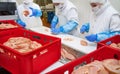 Meat processing in food industry.Packing of meat slices in boxes on a conveyor belt.Chicken fillet production line . Factory for Royalty Free Stock Photo