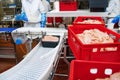 Meat processing in food industry.Packing of meat slices in boxes on a conveyor belt.Chicken fillet production line . Factory for Royalty Free Stock Photo