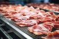 Meat processing plant. Slices of fresh bacon and mint slices on a conveyor belt in the workshop. Arrival of jamon or cold cuts.