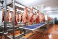 Meat processing plant. Work process for meat production. Arrival of jamon or cold cuts. Production of pork or beef in a modern