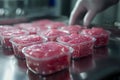 Meat processing plant worker arranging fresh meat packages on a production line Royalty Free Stock Photo