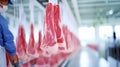 Meat processing or quality control process in the food industry environment.