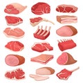 Meat Product with Beef Steak, Rib, Lard and Ham for Cooking and Eating Big Vector Set