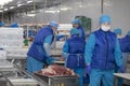 Meat production. workers behind a conveyor belt at a meat factory