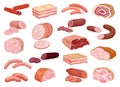 Meat Products with Lard, Wurst, Sausage, Ham and Beef Big Vector Set