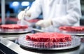 Meat research in the laboratory