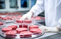 Meat research in the laboratory