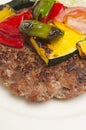 Meat rissole with vegetables Royalty Free Stock Photo