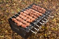 Meat roasted on fire barbecue kebabs on the grill. Royalty Free Stock Photo