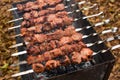 Meat roasted on fire barbecue kebabs on the grill. Royalty Free Stock Photo