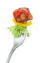 Meat and salad on a fork Royalty Free Stock Photo
