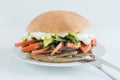 Meat sandwich with tomato, green beans, chili and mayonnaise with white background