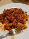 Meat sauce bolognese rigatoni Patsy's restaurant nyc upper west side