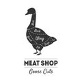 Meat Shop Label, Goose Cuts, Butchers Guide, Farm Poultry with Meat Cuts Lines, Vintage Black and White Vector
