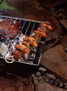 Meat skewer Royalty Free Stock Photo