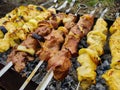 Meat on a skewer on the grill on a picnic