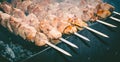 Meat skewer with onion on the skewers on the grill at the stake Royalty Free Stock Photo