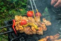 Meat skewered and vegetables on grill grate