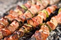 Meat skewers