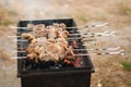 Meat skewers fried on the grill.