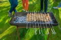 Meat skewers on grill. Cooking outdoor. Barbecue in the garden Royalty Free Stock Photo