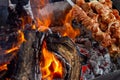 Meat skewers grill. Pork or beef are fried on open fire. Barbecue kitchen party close up image. Kebab or shashlik cooking on spits Royalty Free Stock Photo