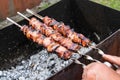 Meat skewers grill. Pork or beef are fried on open fire. Barbecue kitchen party close up image. Kebab or shashlik cooking on spits Royalty Free Stock Photo