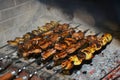 Meat skewers grilling over hot barbecue coals Royalty Free Stock Photo