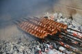 Meat skewers grilling over hot barbecue coals Royalty Free Stock Photo