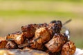 Meat on skewers roasted over an open fire Royalty Free Stock Photo