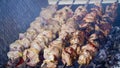 Meat on skompurs, roasting meat on fire, barbecue, nature Royalty Free Stock Photo