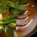 Meat soup with green onions and parsley. Juicy pieces of meat in broth, close up. Food concept. Square format or 1x1 for