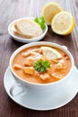 Meat soup solyanka Royalty Free Stock Photo
