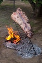 Meat on the spit or asado in the stake. Grill on the coals. Traditional Argentine barbecue