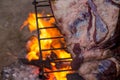 Meat on the spit or asado in the stake. Grill on the coals. Traditional Argentine barbecue Royalty Free Stock Photo