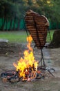 Meat on the spit or asado in the stake. Grill on the coals. Traditional Argentine barbecue