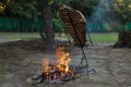 Meat on the spit or asado in the stake. Grill on the coals. Traditional Argentine barbecue