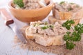 Meat spread and bread Royalty Free Stock Photo