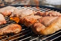 Meat steaks are fried on the ba rbecue grill Royalty Free Stock Photo