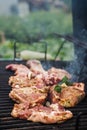 Meat steaks are grilled on an outdoor street grill. Man cooks barbecue and adds spices. Summer picnic in nature. Royalty Free Stock Photo