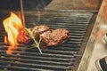 Meat steaks on grill on open fire Royalty Free Stock Photo