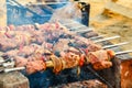 Meat strung on skewers is fried over an open fire. Barbecue on burning coals, on a holiday. Royalty Free Stock Photo