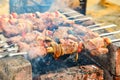 Meat strung on skewers is fried over an open fire. Barbecue on burning coals, on a holiday. Royalty Free Stock Photo